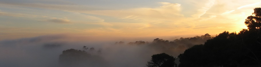 nebel.jpg